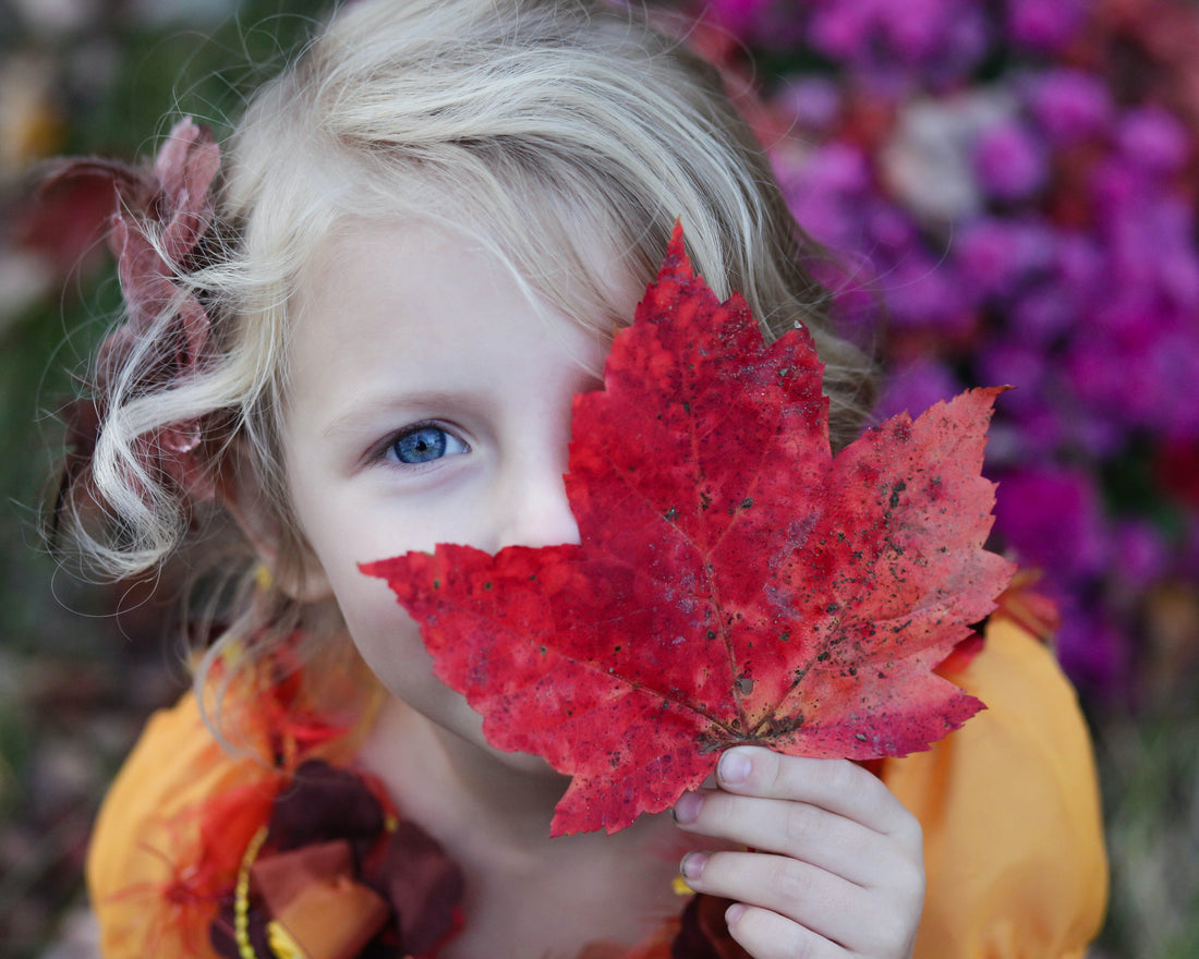 fun fall activites